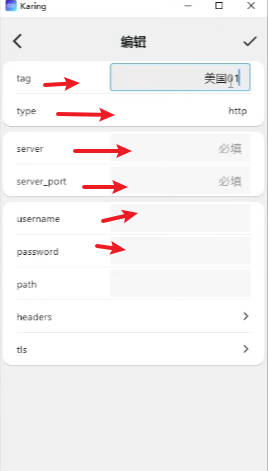自定义代理编辑页面,需要填写 tag、server、端口、账号密码等字段