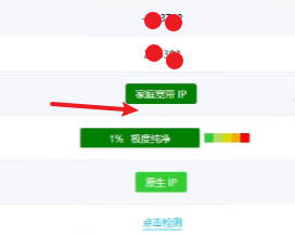 ping0.cc 检测结果,显示家宽 IP、纯净度和原生 IP 标识
